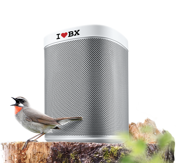 Автоворонки, чат-боты, email-технологии и интернет-маркетинг